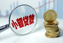 东莞23哪里可以小额贷款-东莞23哪里有民间借贷-东莞23民间短期私借借款